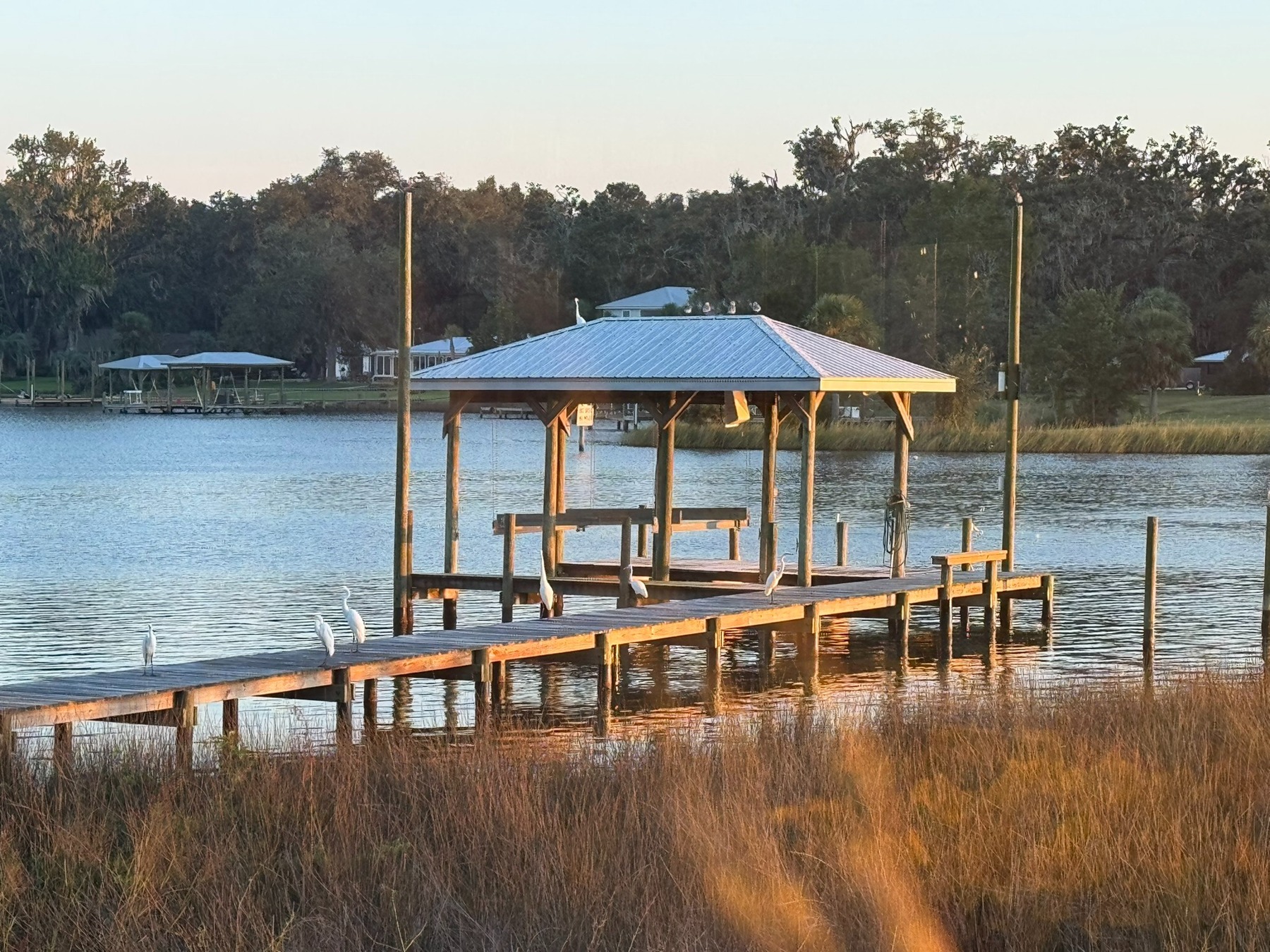 White birds line a dock beside a covered pavilion