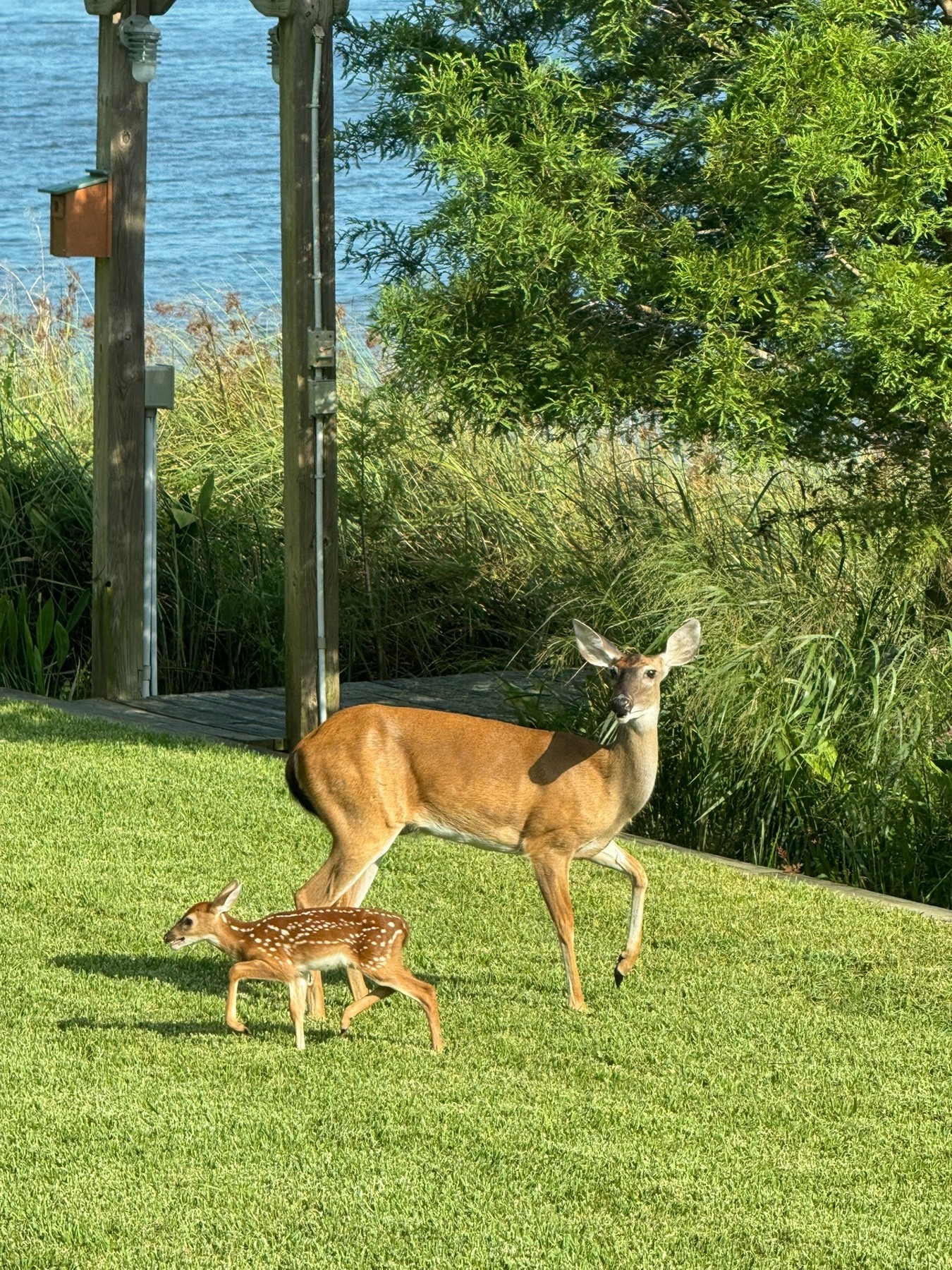 Flora and Fauna photograph 09