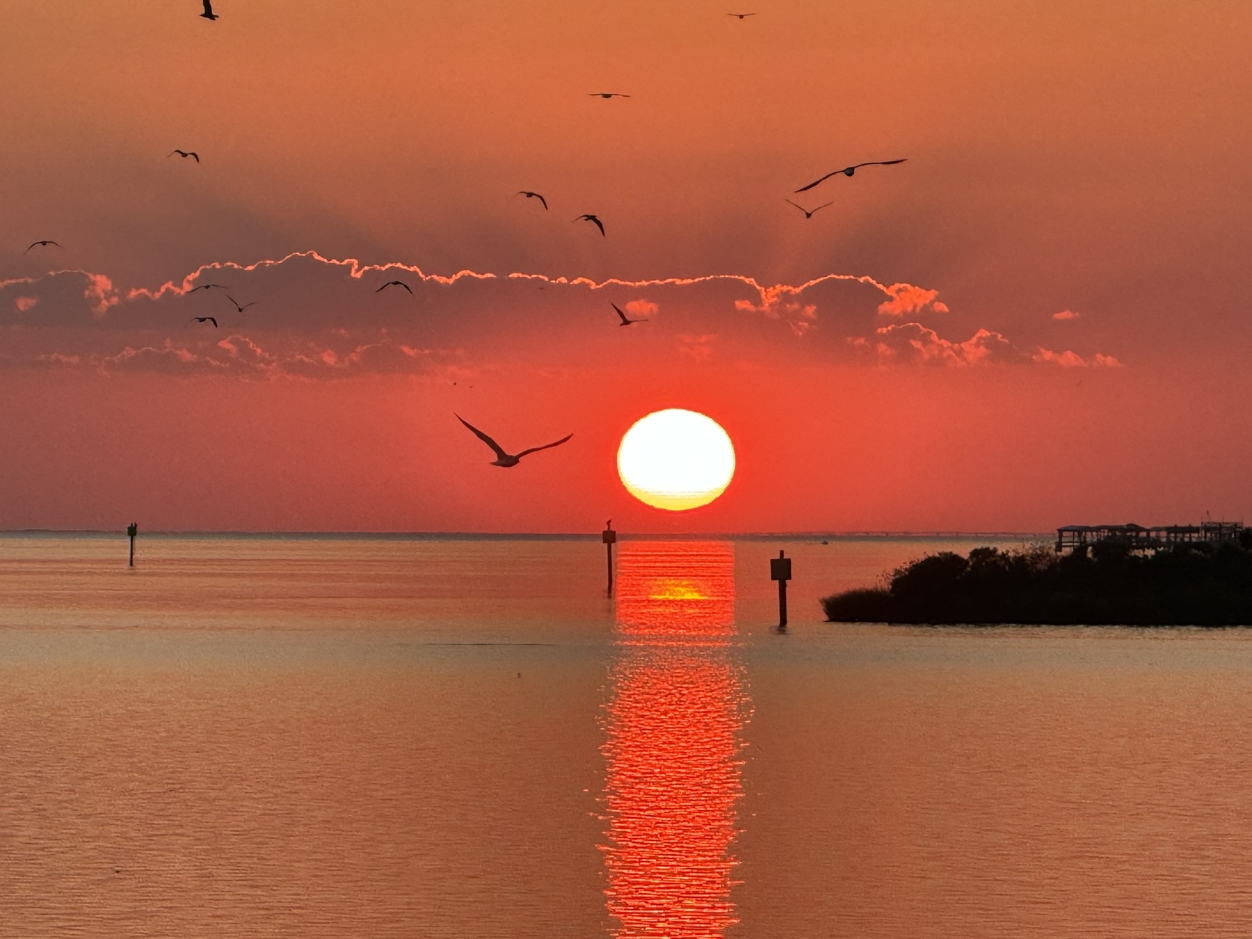 Birds cross an orange sky around the setting sun