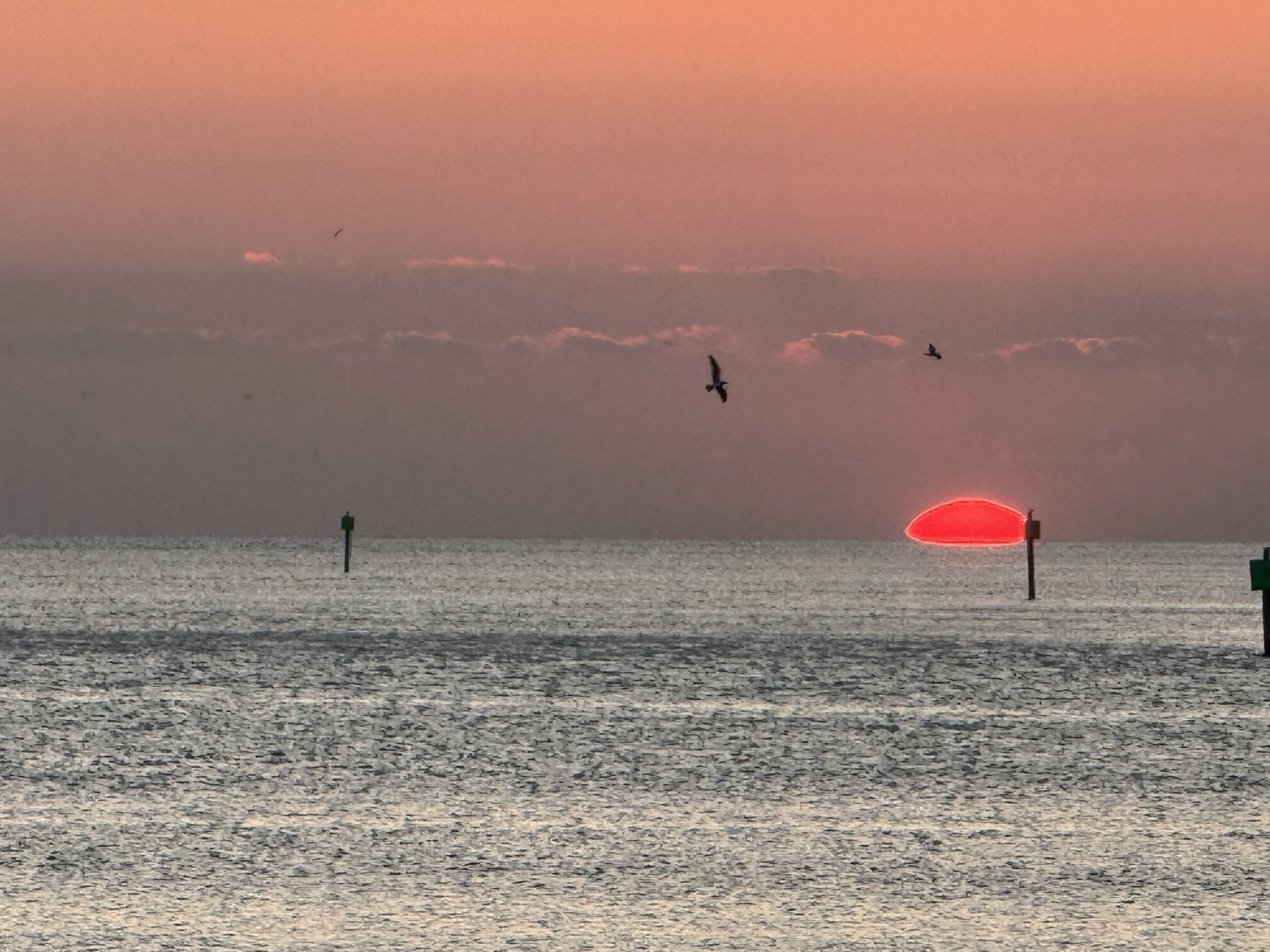 The sun half-hidden at the horizon with birds in flight
