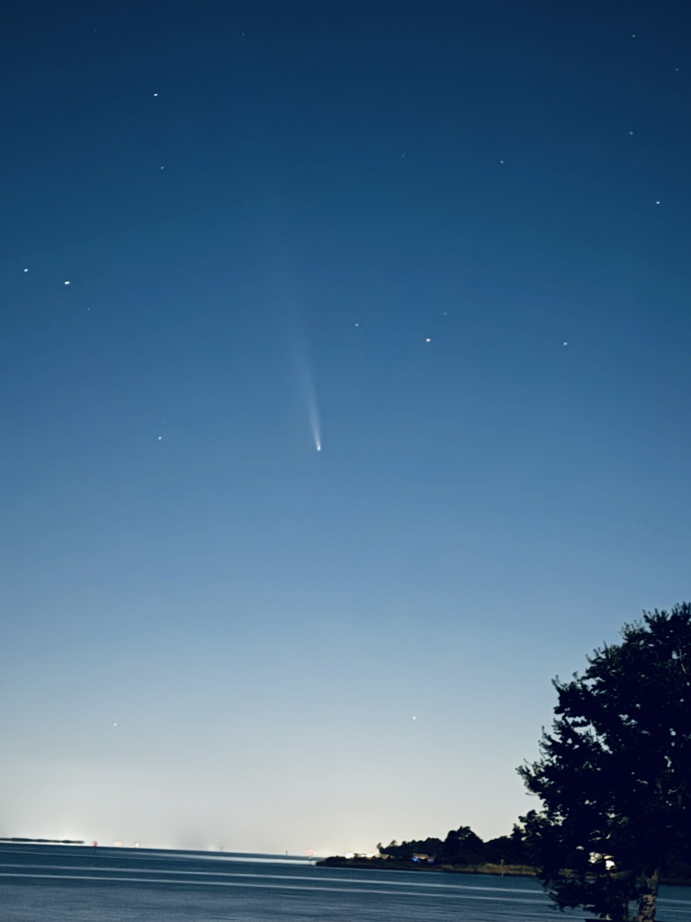 A bright celestial streak in a clear blue evening sky above the shoreline
